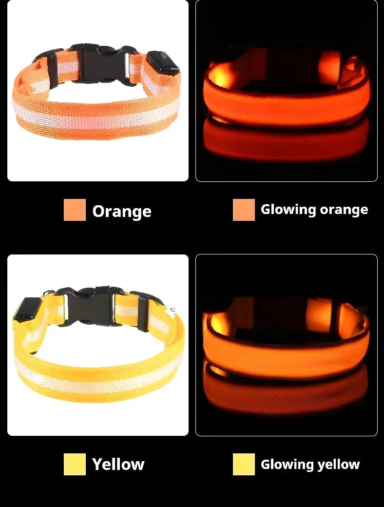 LED Night Safety Dog Collar