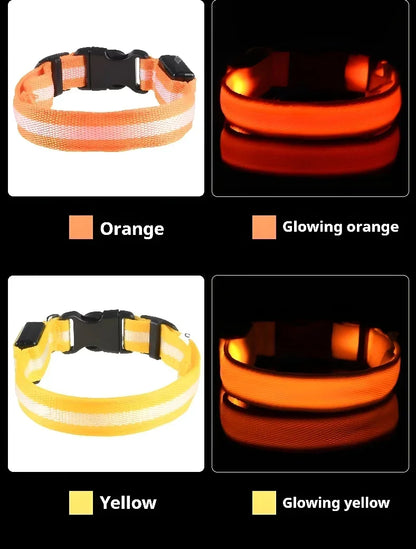 LED Night Safety Dog Collar