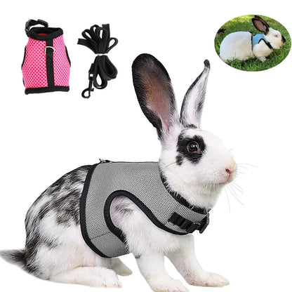 Rabbit Harness & Leash Set – Adjustable Walking Vest for Bunnies