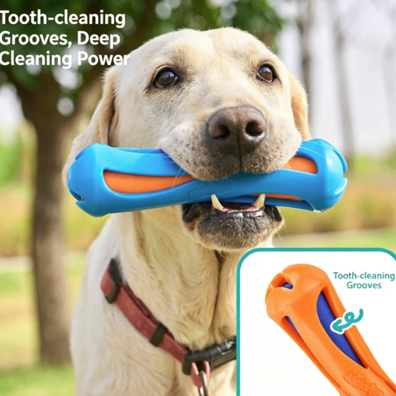 Floating Dog Water Stick Toy