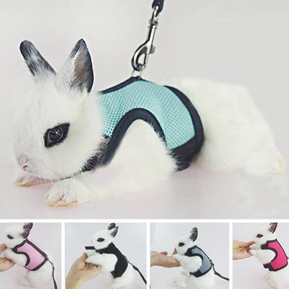 Rabbit Harness & Leash Set – Adjustable Walking Vest for Bunnies