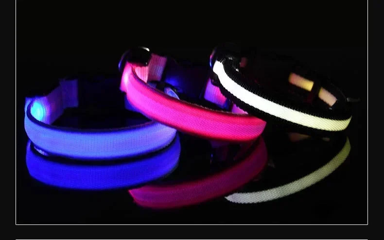 LED Night Safety Dog Collar