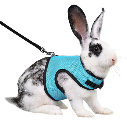 Rabbit Harness & Leash Set – Adjustable Walking Vest for Bunnies