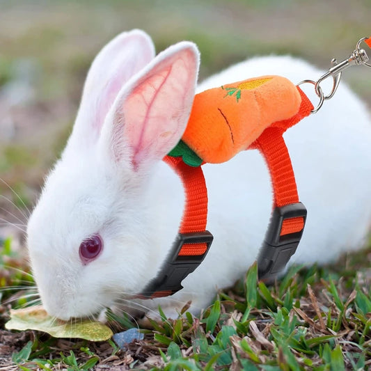 Cartoon Rabbit Harness Set