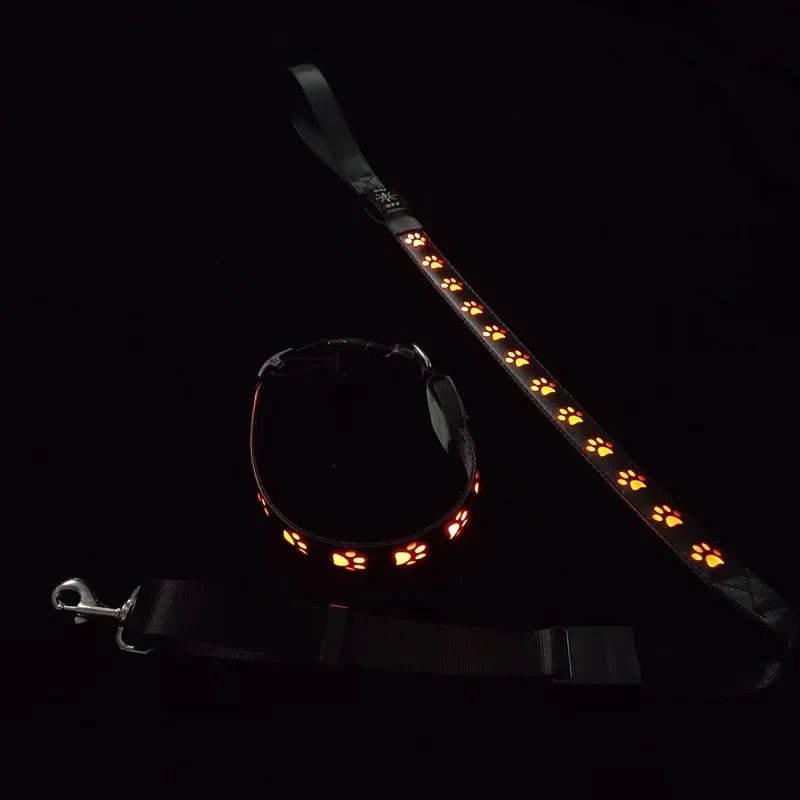 LED Light-Up Dog Collar & Leash Set