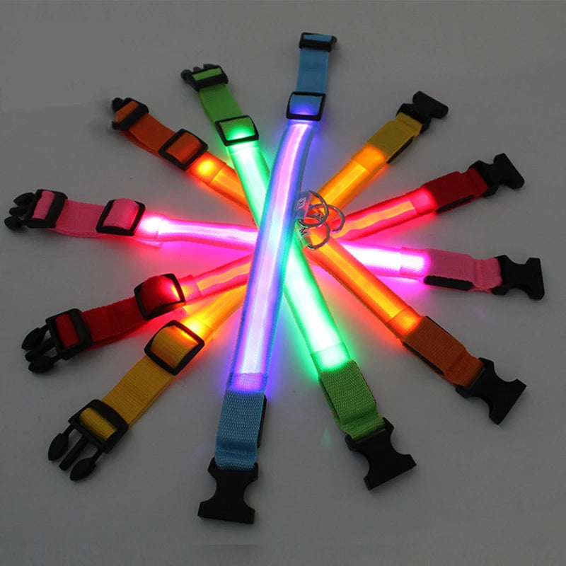 USB Rechargeable LED Dog Collar with Detachable Pendant – Luminous Safety Collar for Dogs & Cats