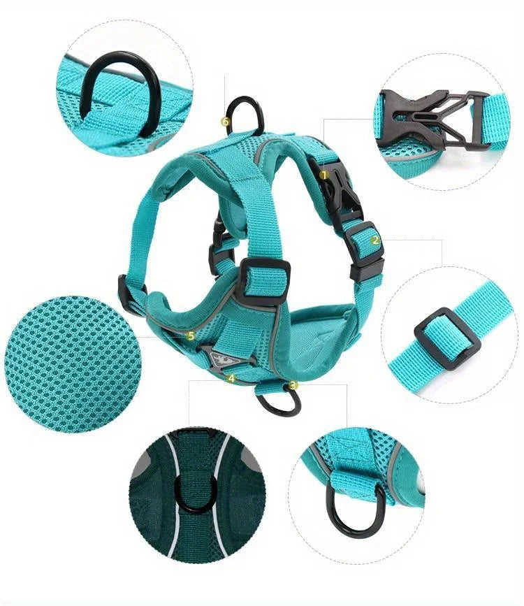 Dog Harness & Leash Set