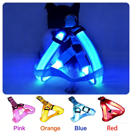 Adjustable LED No-Pull Dog Harness
