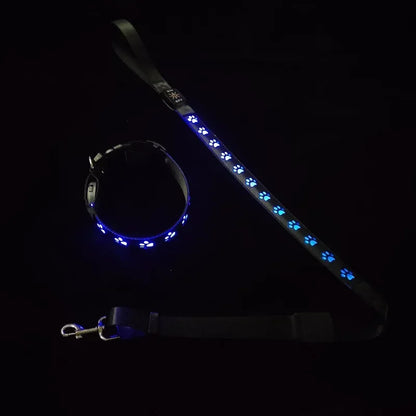 LED Light-Up Dog Collar & Leash Set