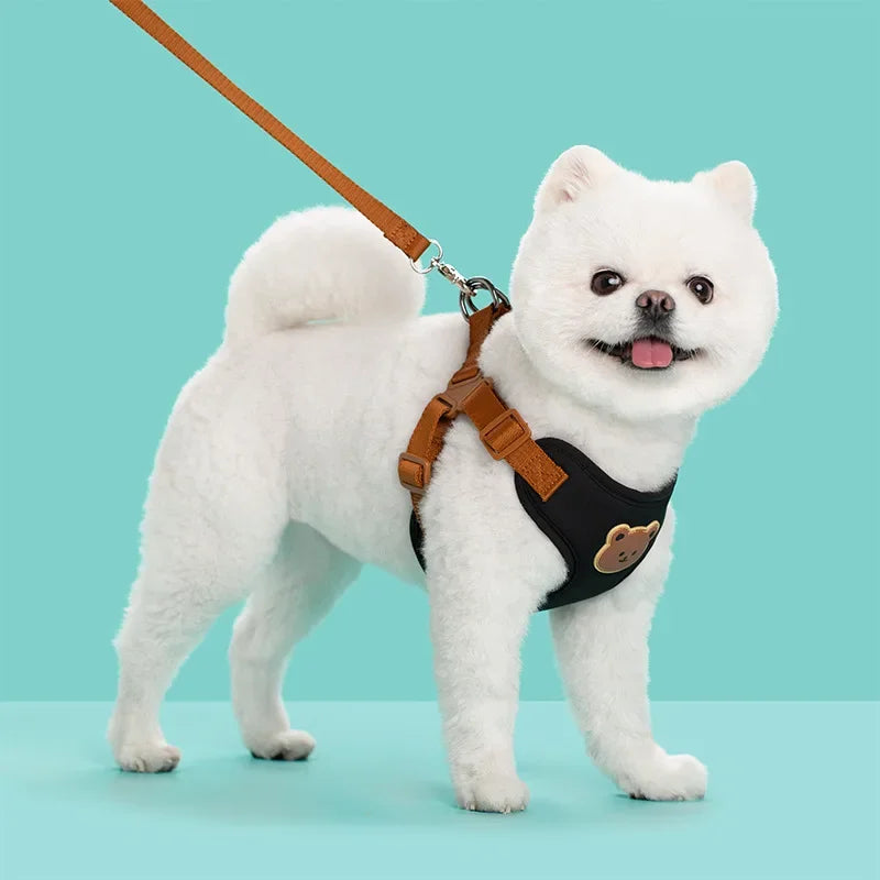 Adjustable Reflective Pet Harness & Leash Set