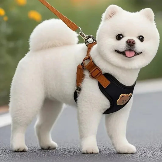 Adjustable Reflective Pet Harness & Leash Set