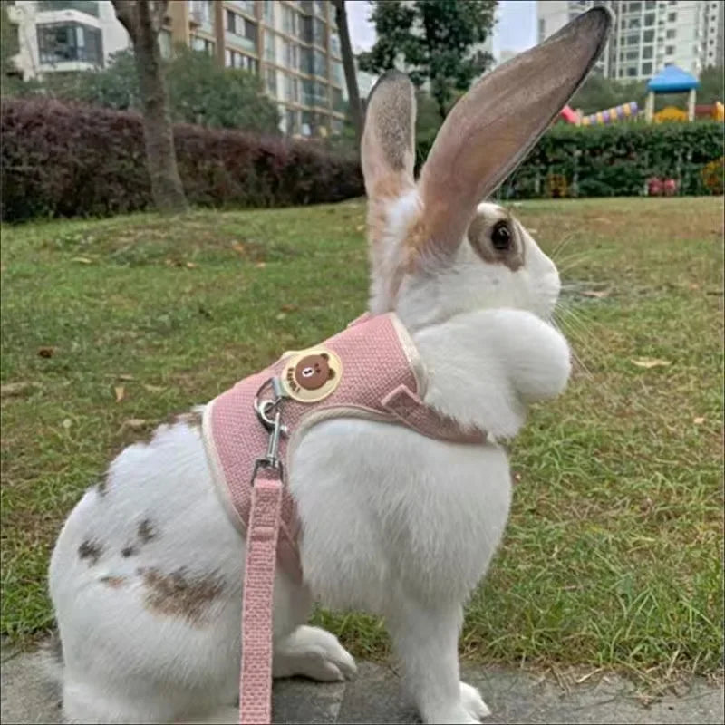 Cute Handmade Rabbit Harness Set