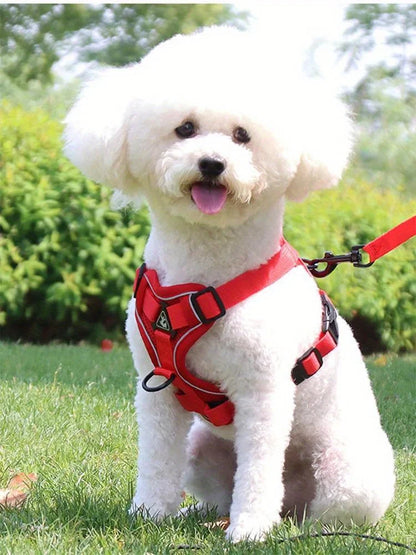 Dog Harness & Leash Set