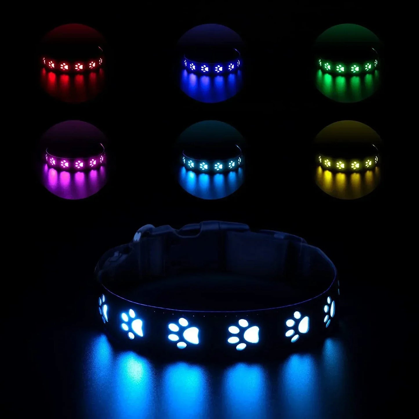 LED Light-Up Dog Collar & Leash Set