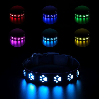 LED Light-Up Dog Collar & Leash Set