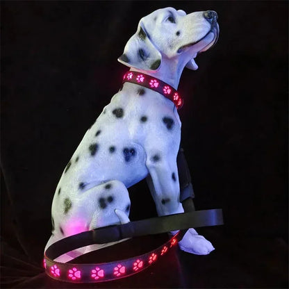 LED Light-Up Dog Collar & Leash Set
