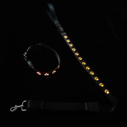 LED Light-Up Dog Collar & Leash Set