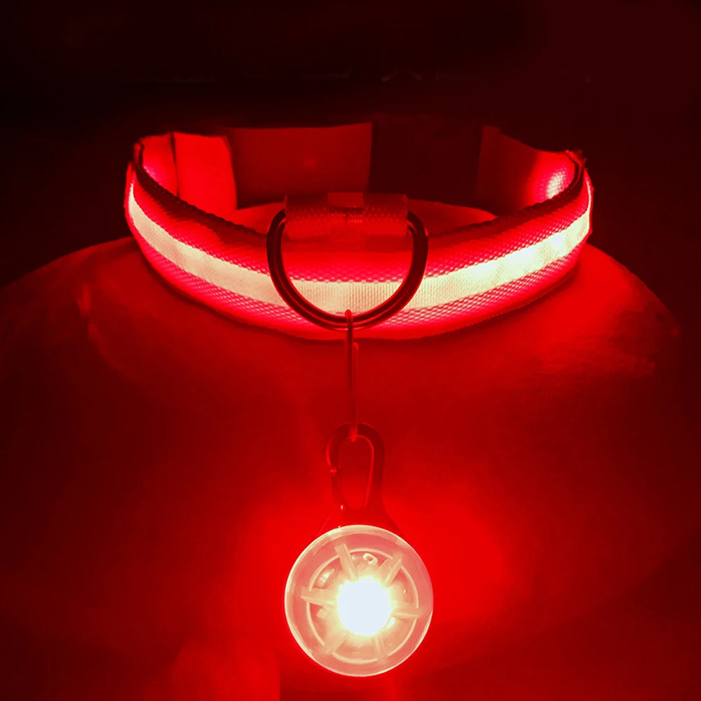 USB Rechargeable LED Dog Collar with Detachable Pendant – Luminous Safety Collar for Dogs & Cats