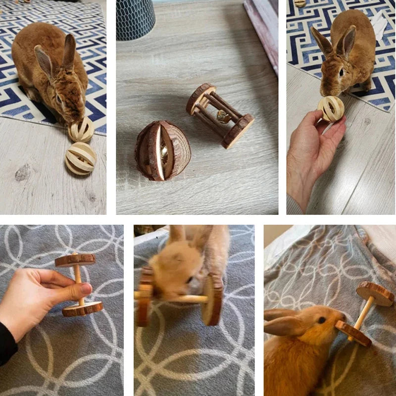 Wooden Rabbit Chew Toys – Natural Dental Roller Set