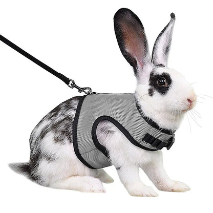 Rabbit Harness & Leash Set – Adjustable Walking Vest for Bunnies