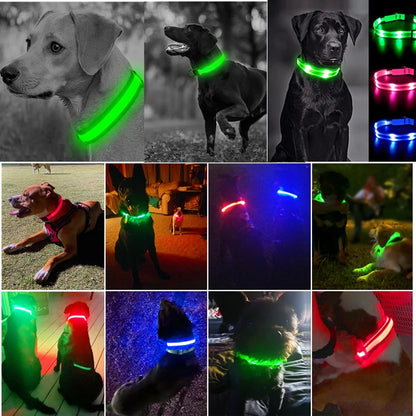 USB Rechargeable LED Dog Collar with Detachable Pendant – Luminous Safety Collar for Dogs & Cats