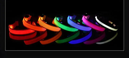 LED Night Safety Dog Collar