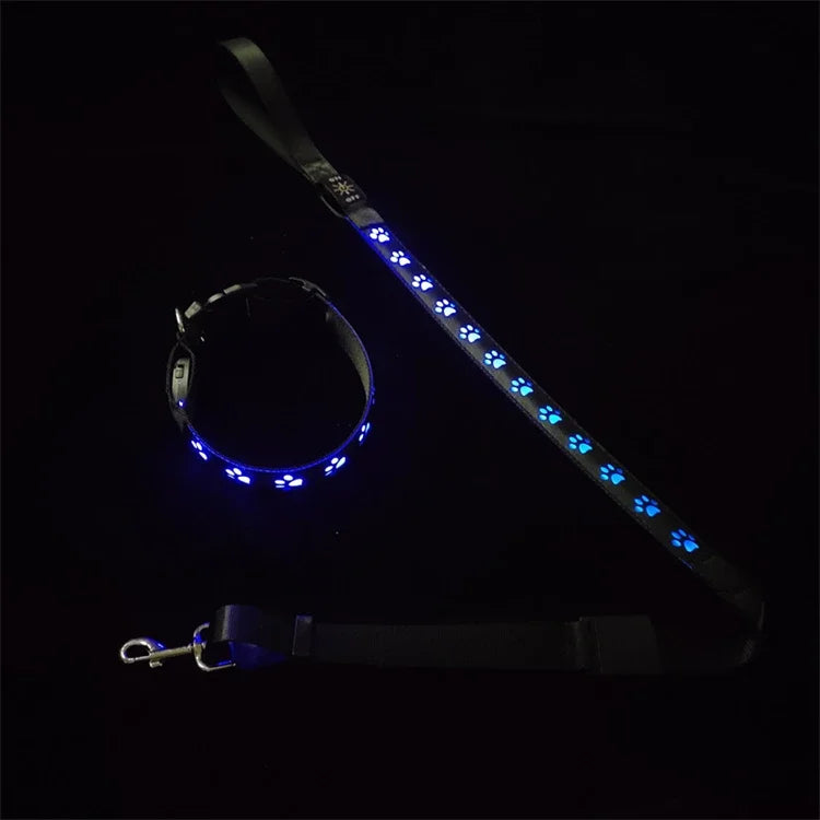 LED Light-Up Dog Collar & Leash Set