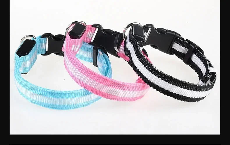 LED Night Safety Dog Collar