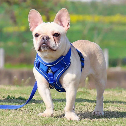 Dog Harness & Leash Set