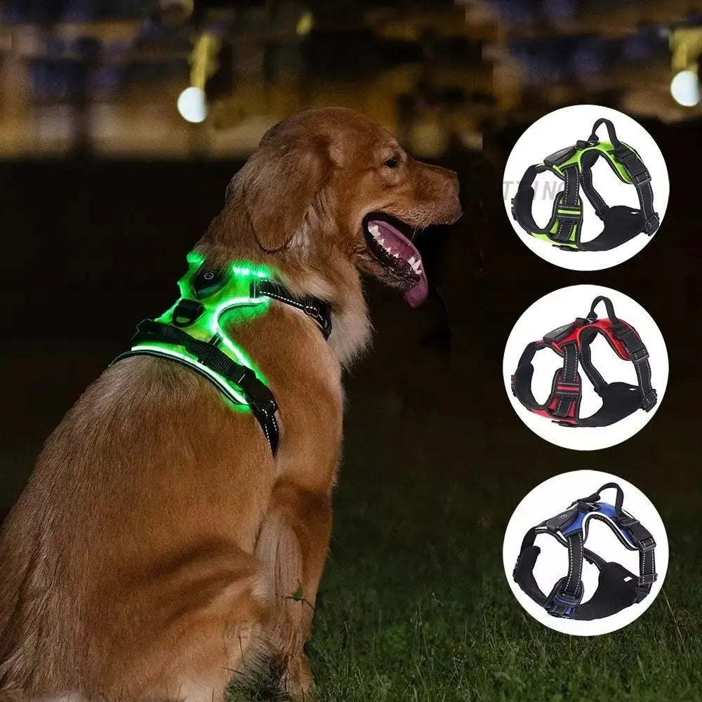LED Reflective Dog Harness