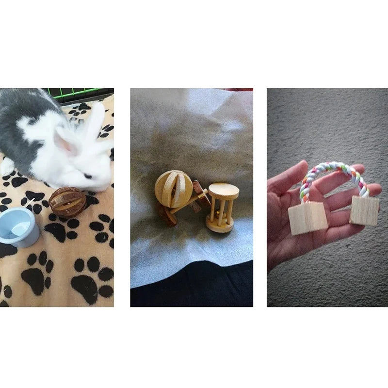 Wooden Rabbit Chew Toys – Natural Dental Roller Set