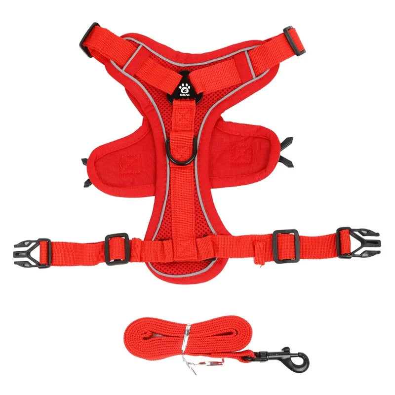 Dog Harness & Leash Set
