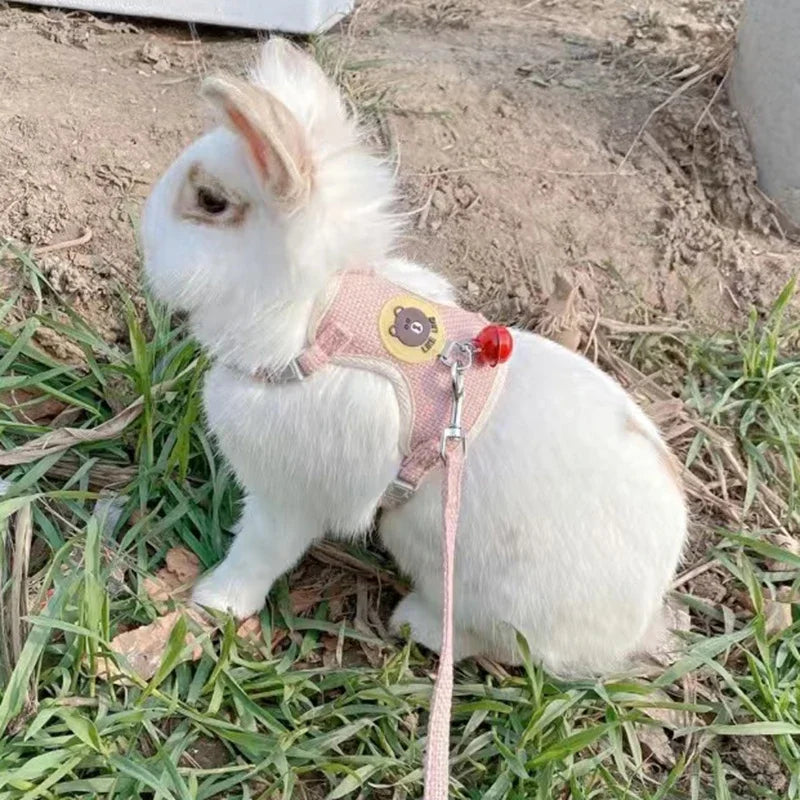 Cute Handmade Rabbit Harness Set