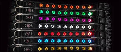 LED Light-Up Dog Collar & Leash Set
