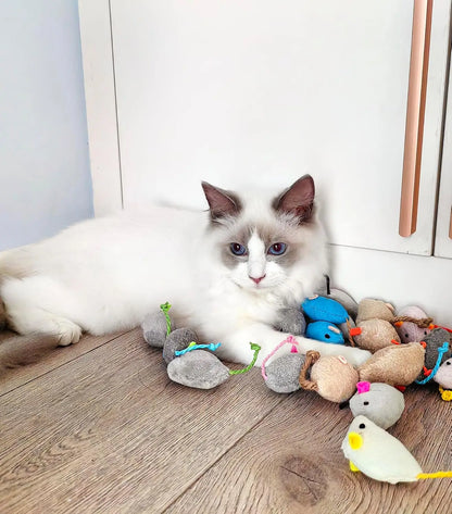 Catnip Rattle Mouse Toys – Interactive Plush Chase & Hunt Toys for Indoor Cat