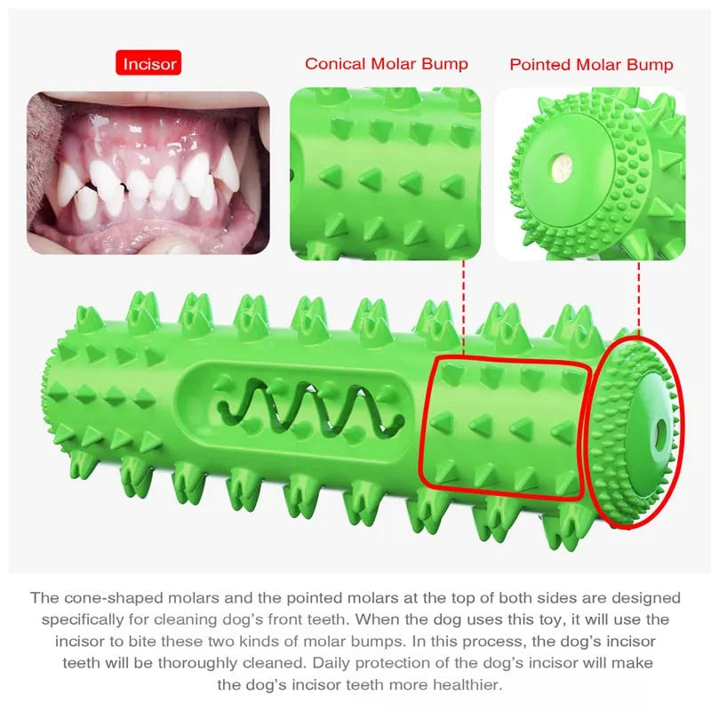 Squeaky Dog Chew Toy – Molar Stick Dental Cleaning & Treat Dispensing Toy