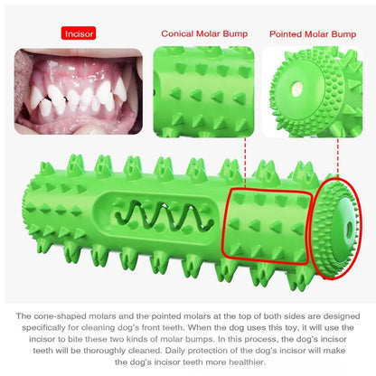 Squeaky Dog Chew Toy – Molar Stick Dental Cleaning & Treat Dispensing Toy