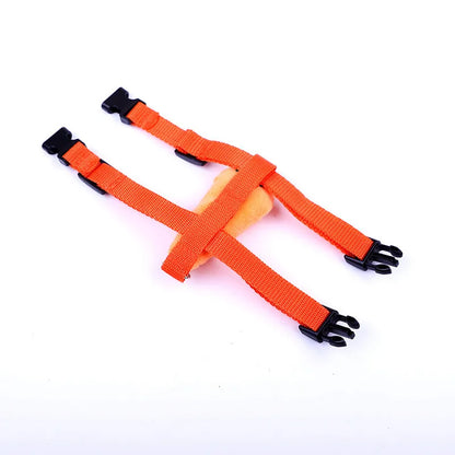 Cartoon Rabbit Harness Set