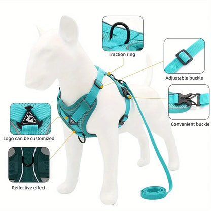 Dog Harness & Leash Set