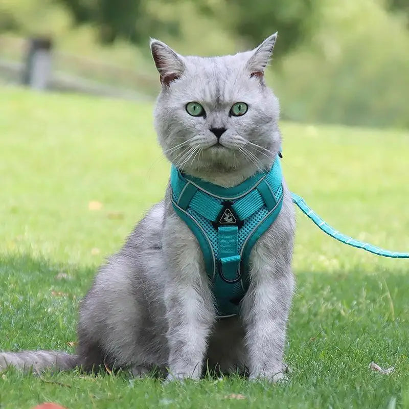 Dog Harness & Leash Set