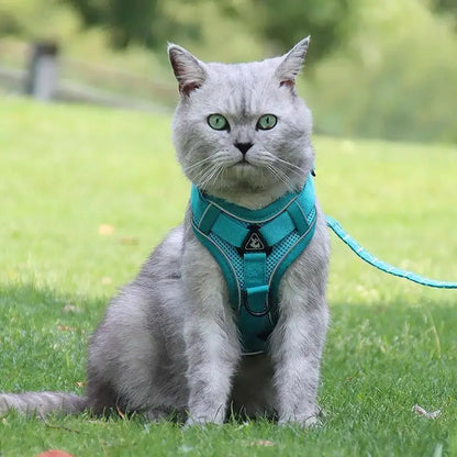 Dog Harness & Leash Set