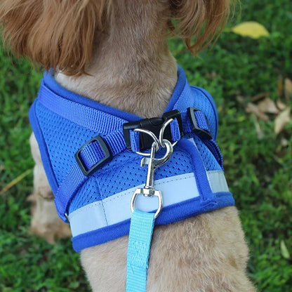 Reflective Cat & Small Dog Harness Set