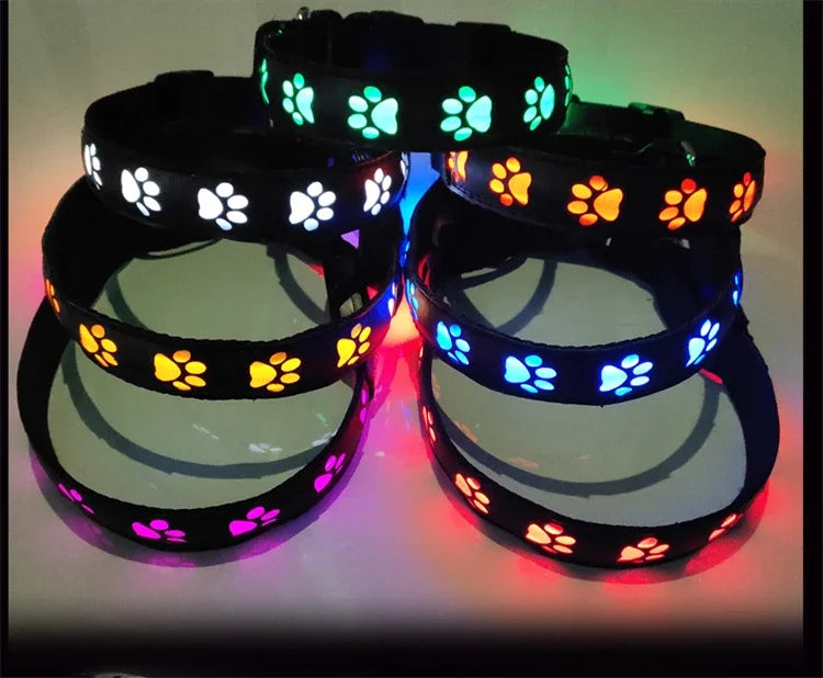 LED Light-Up Dog Collar & Leash Set