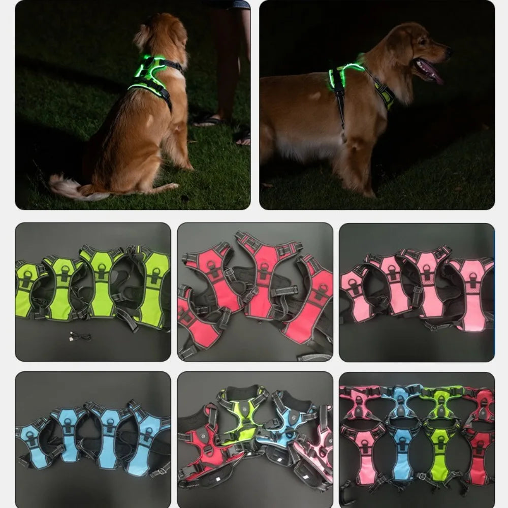 LED Reflective Dog Harness