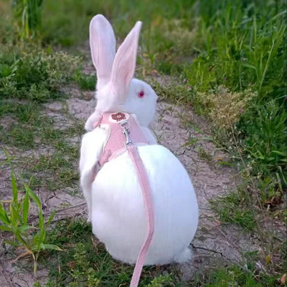Cute Handmade Rabbit Harness Set