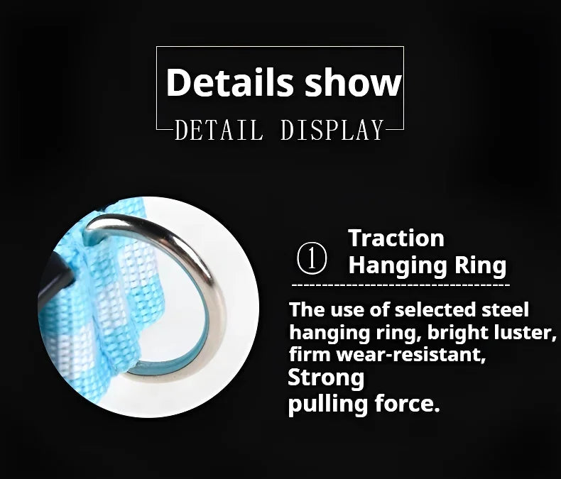 LED Night Safety Dog Collar