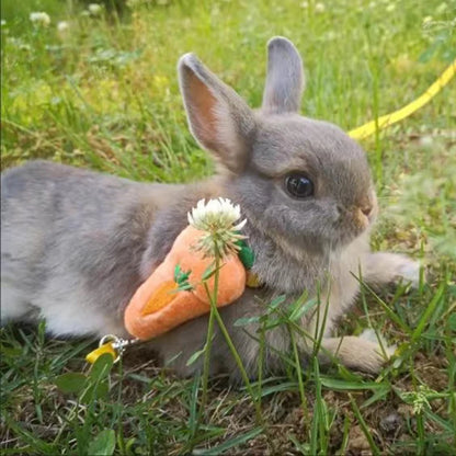 Cartoon Rabbit Harness Set