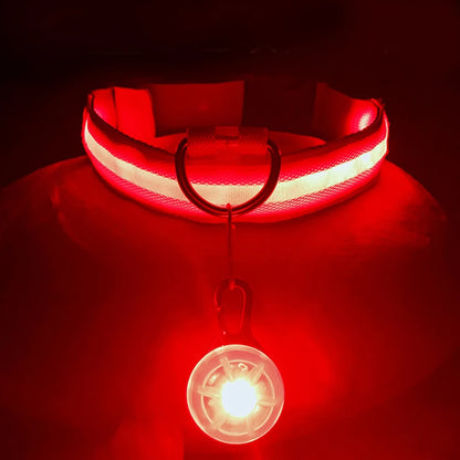 USB Rechargeable LED Dog Collar with Detachable Pendant – Luminous Safety Collar for Dogs & Cats