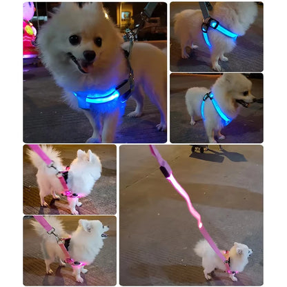 Adjustable LED No-Pull Dog Harness