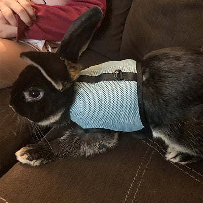 Rabbit Harness & Leash Set – Adjustable Walking Vest for Bunnies